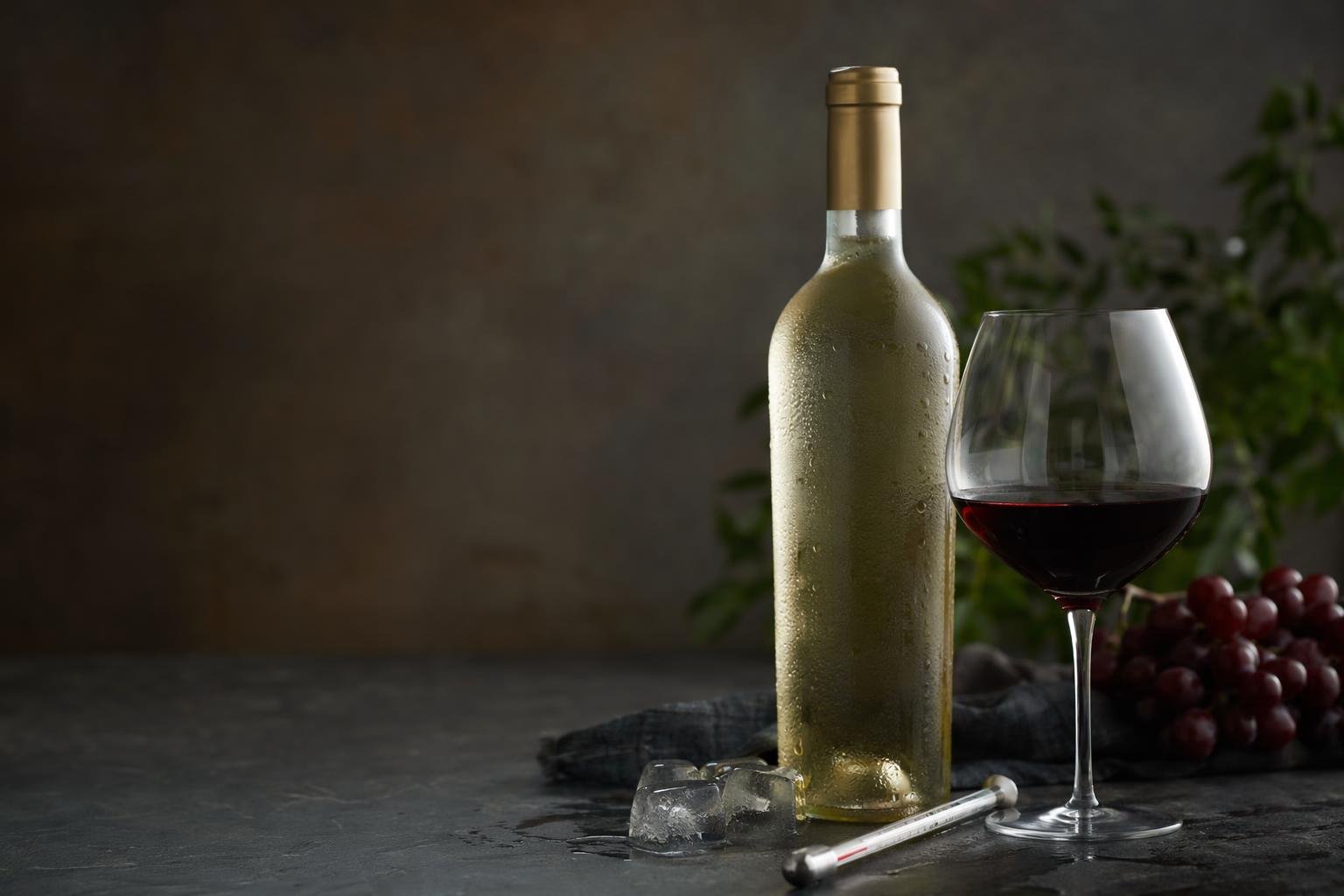 Die richtige Temperatur für jeden Wein
